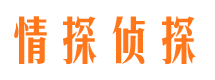 高邮找人公司